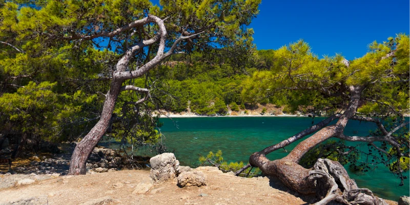 Yacht Rental in Belek, Antalya with AYA Yachting